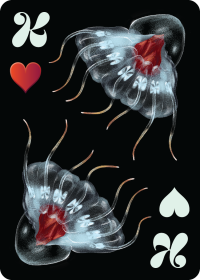 Method_Cards-13